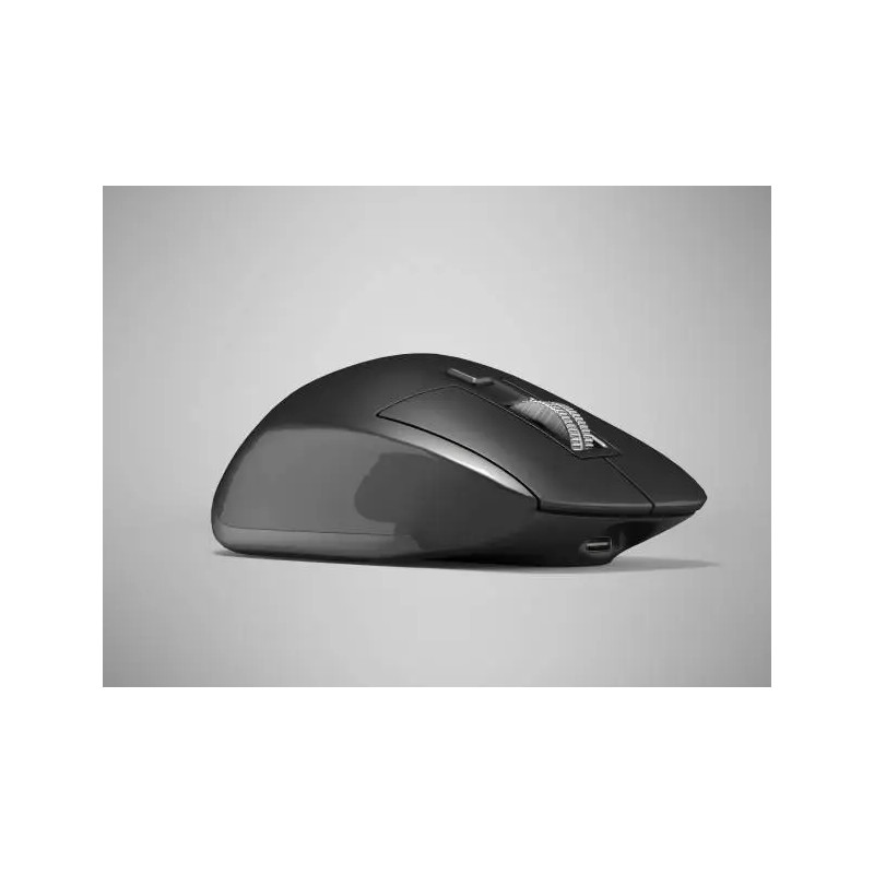 Wireless Ergonomic Mouse  Black